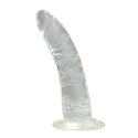 Dildo-FALLO JELLY REAL RAPTURE CLEAR 7"""""""""""""""" Dildo-FALLO JELLY REAL RAPTURE CLEAR 7""""""""""""""""