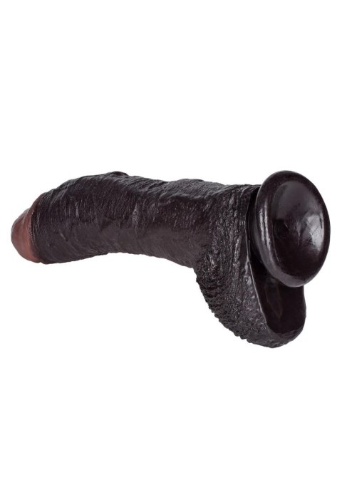 Dildo-SEAN MICHAELS DONG Dildo-SEAN MICHAELS DONG
