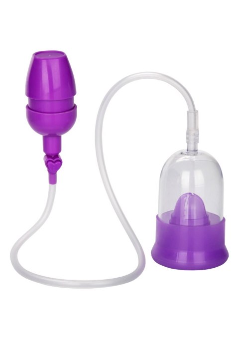 Intimate Pump Purple