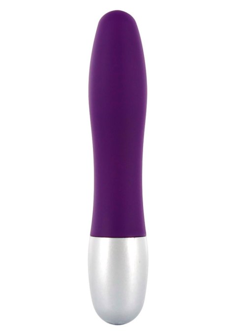 Discretion Probe Vibrator Purple