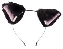 BK- Pet Play Plug&E BK- Pet Play Plug&E