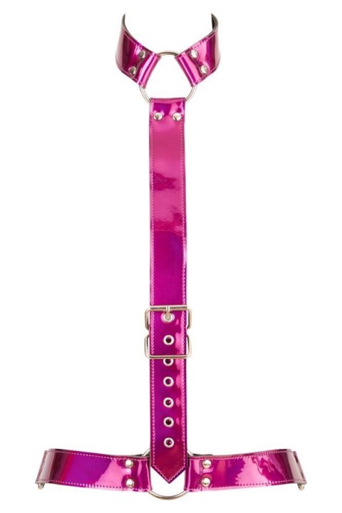 BK Harness S-L BK Harness S-L