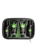 CBD - Bath and Shower - Luxe Travel set - Green Tea Hemp Oil