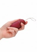 10 Speed Remote Vibrating Egg - Big - Red