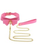 Collar and Leash Pink