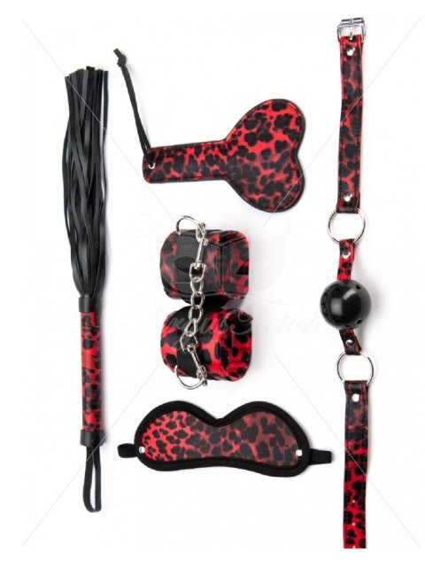 5 Pieces Leopard Bondage Set 5 Pieces Leopard Bondage Set
