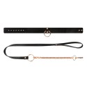 Rosy Gold - Collar with Leash - Black