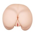 BAILE- VAGINA AND ASS, Heating function Vibration Sex talk BAILE- VAGINA AND ASS, Heating function Vibration Sex talk