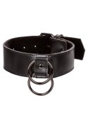 Collar With Chain Leash Black Collar With Chain Leash Black