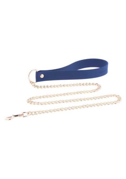 Silicone Collar and Leash Blue Silicone Collar and Leash Blue
