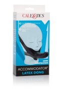 Knebel-The Accomodator Knebel-The Accomodator