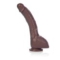 Dildo-COLT ADAM DEXTER DONG BROWN Dildo-COLT ADAM DEXTER DONG BROWN