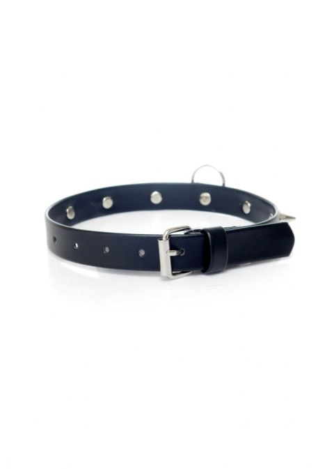 Fetish Boss Series Collar with studs 2 cm Fetish Boss Series Collar with studs 2 cm