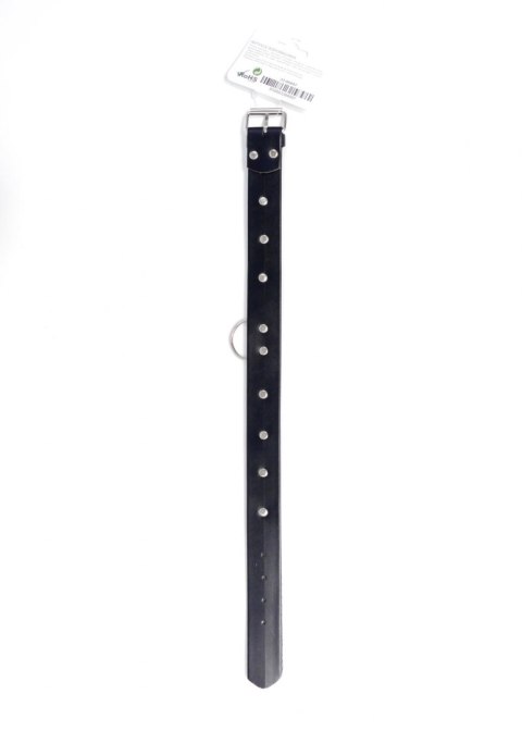 Fetish Boss Series Collar with studs 3 cm Fetish Boss Series Collar with studs 3 cm