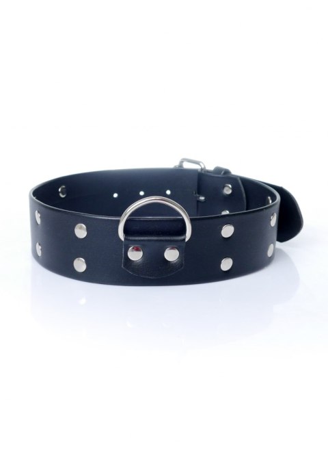 Fetish Boss Series Collar with studs 4 cm Fetish Boss Series Collar with studs 4 cm