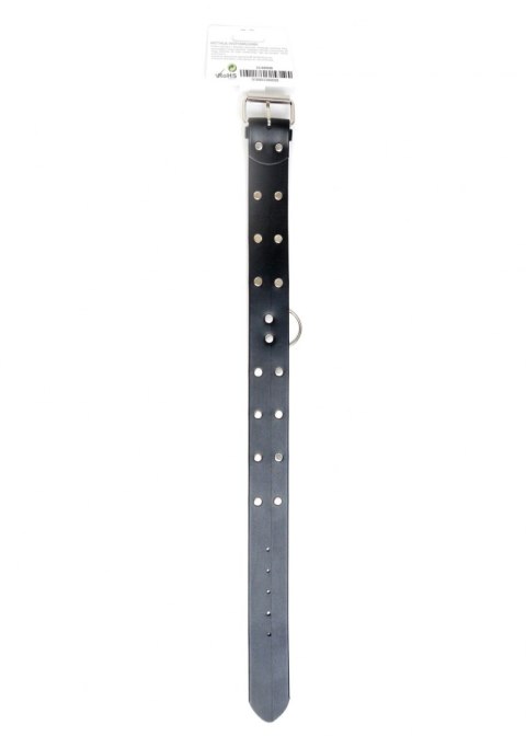 Fetish Boss Series Collar with studs 4 cm Fetish Boss Series Collar with studs 4 cm