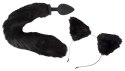 BK- Pet Play Plug&E BK- Pet Play Plug&E