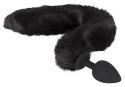 BK- Pet Play Plug&E BK- Pet Play Plug&E
