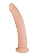 NS Soft Dong NS Soft Dong