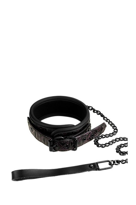 Wiązania-BLAZE COLLAR AND LEASH PURPLE Wiązania-BLAZE COLLAR AND LEASH PURPLE