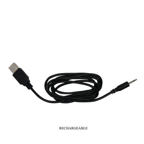 PRETTY LOVE - PROSTATE MASSAGER Tickling 4 & Vibrating 7 USB PRETTY LOVE - PROSTATE MASSAGER Tickling 4 & Vibrating 7 USB