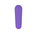 Power Bullet USB 10 functions Glossy Matte Purple