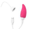 IJOY Wireless Remote Control Rechargeable Egg Pink IJOY Wireless Remote Control Rechargeable Egg Pink